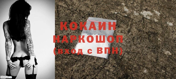 дживик Абаза