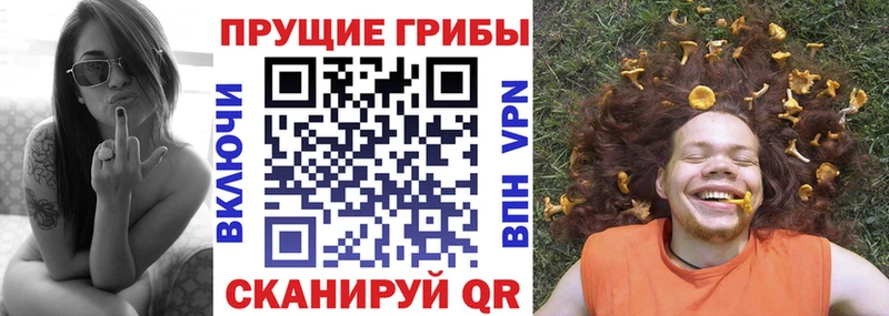 где продают наркотики Туран Галлюциногенные грибы ЛСД